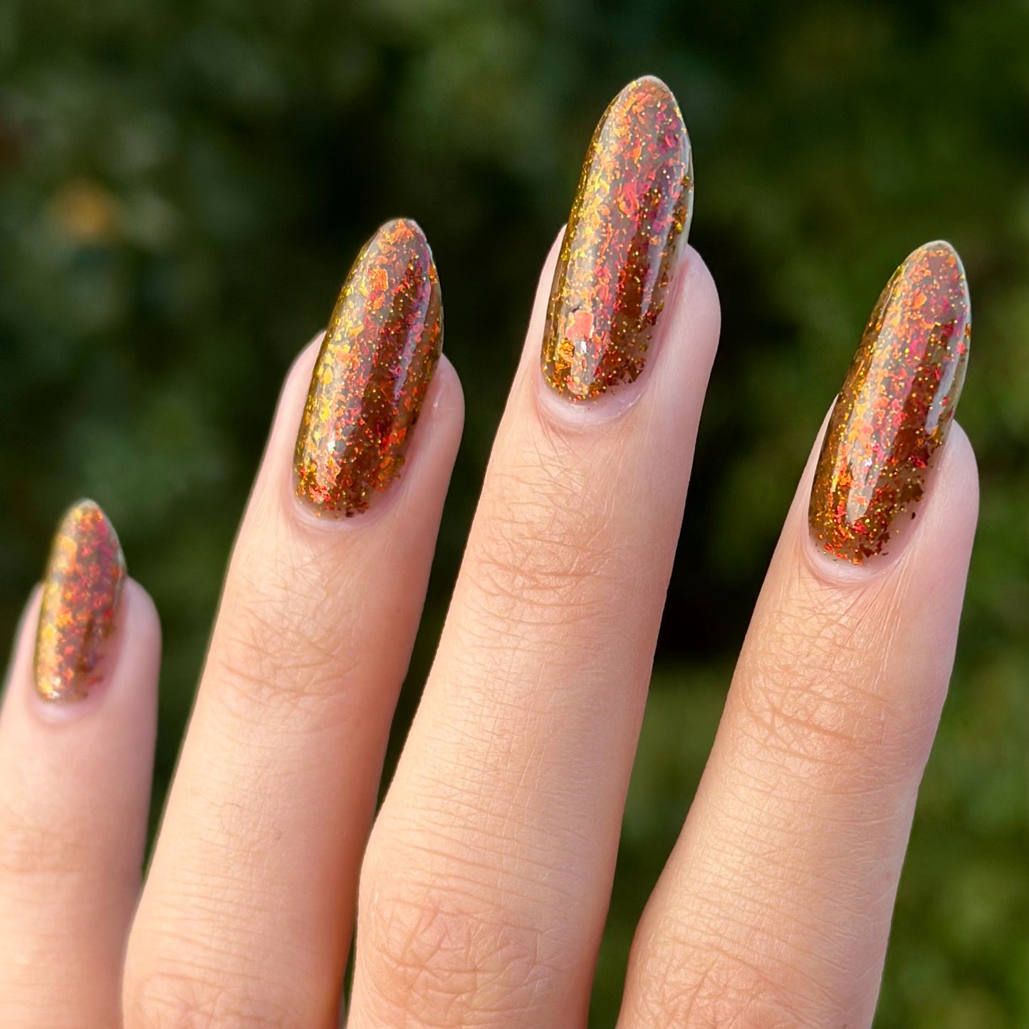 Autumnophile