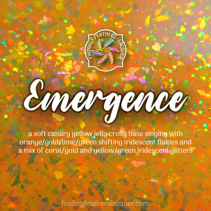 Emergence