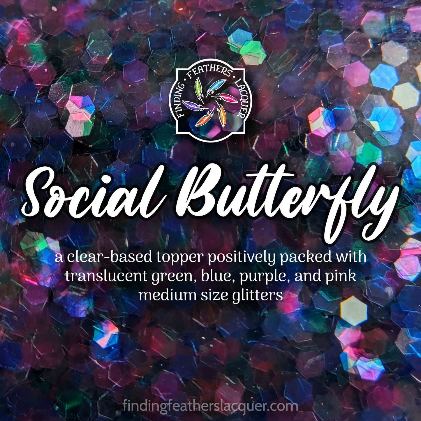Social Butterfly