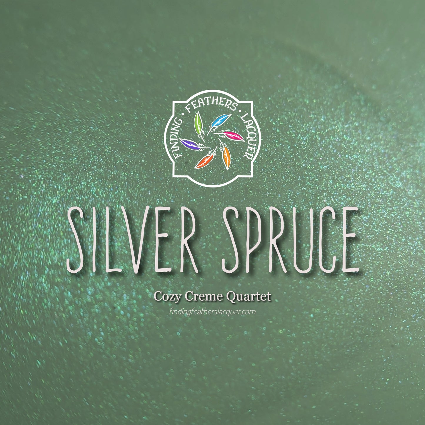 Silver Spruce