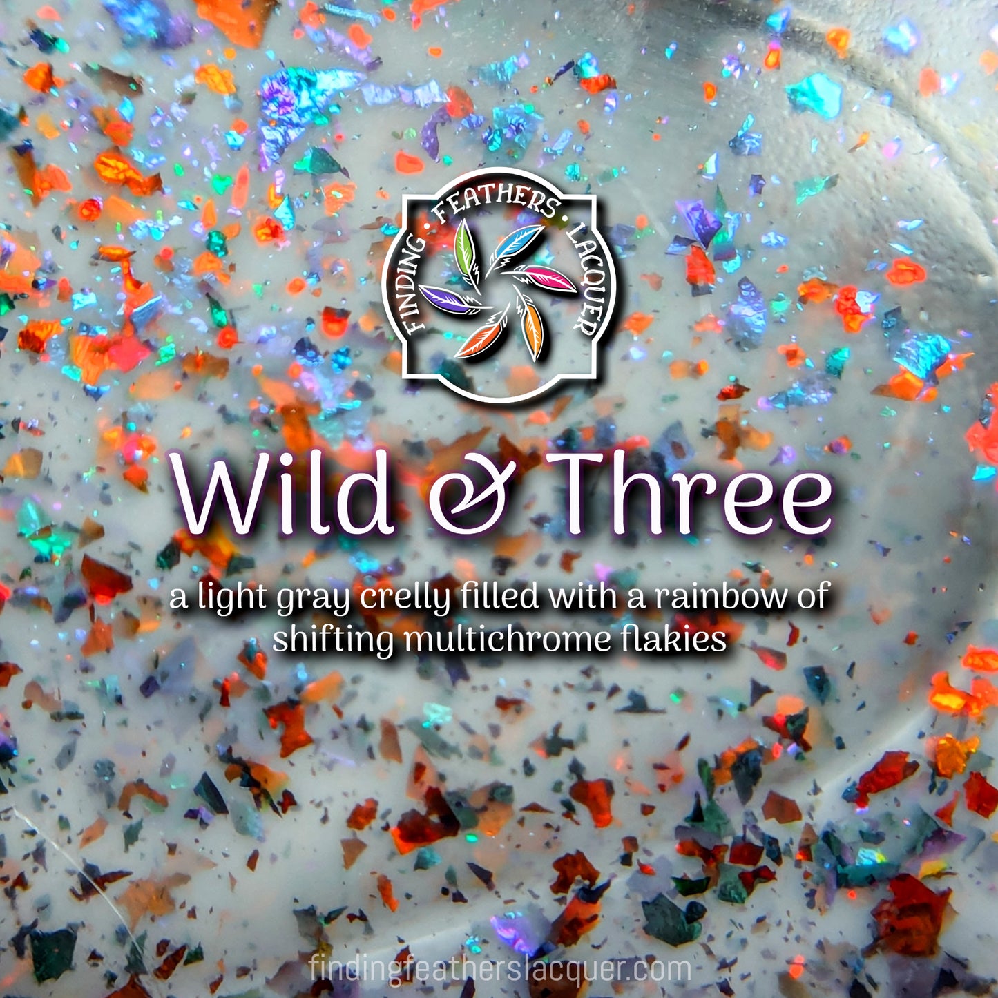Wild & Three