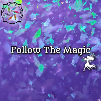 Follow the Magic