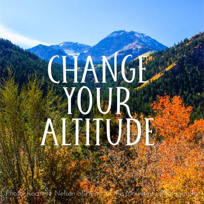 Change Your Altitude