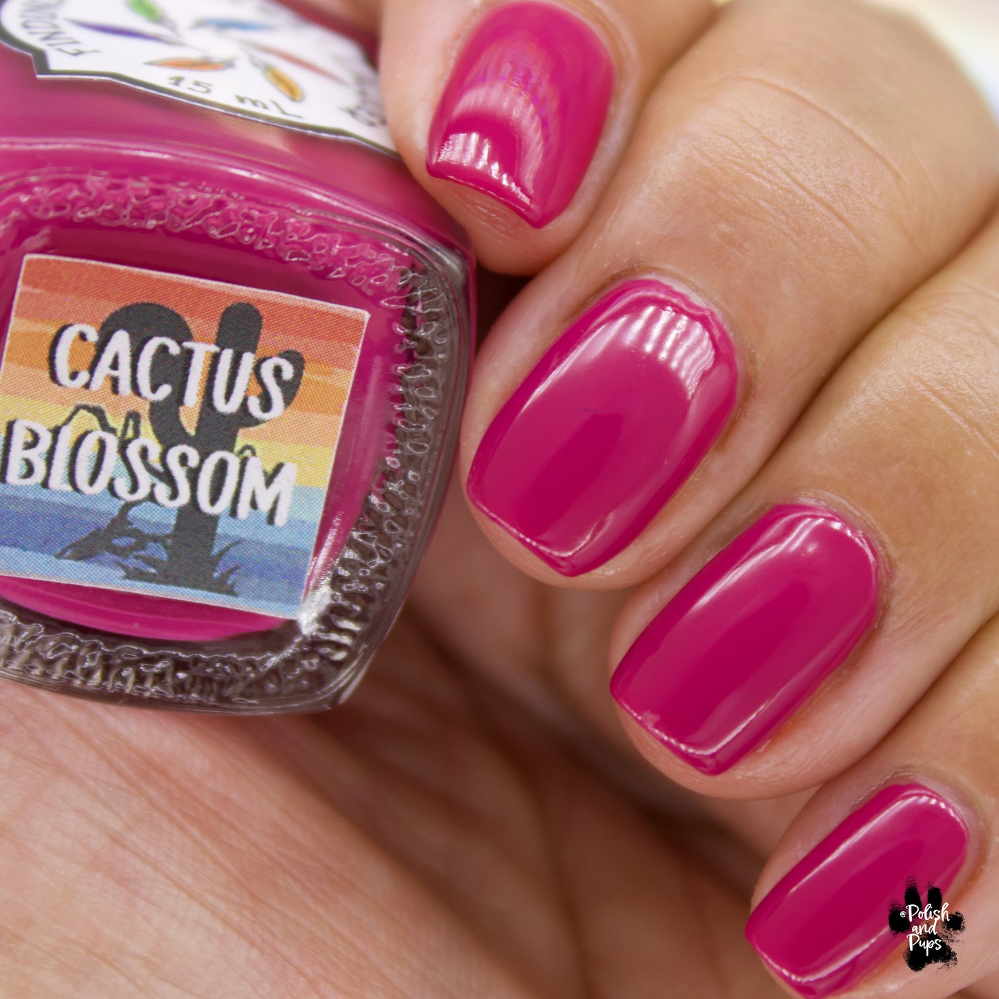 Cactus Blossom