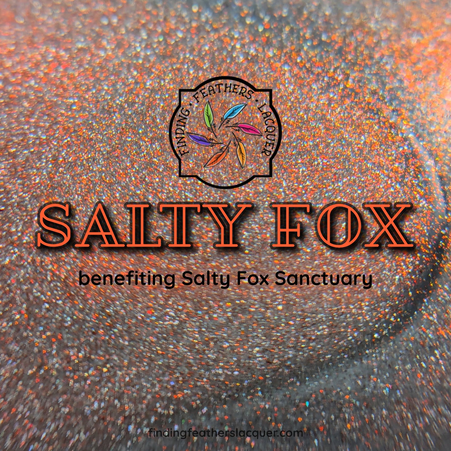 Salty Fox *CHARITY*