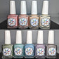 Full Pieces of Home: A Coastal Creme Collection